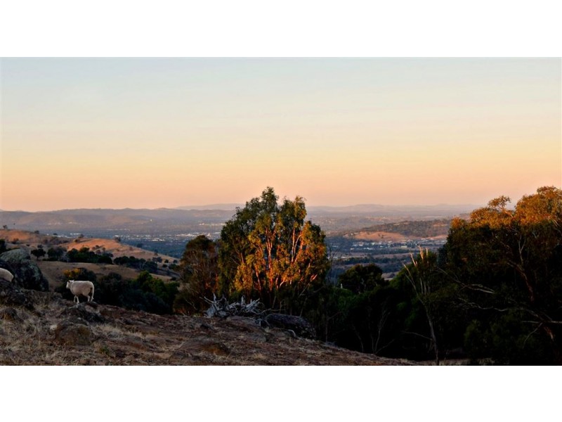 196 Phillips Road, Leneva VIC 3691