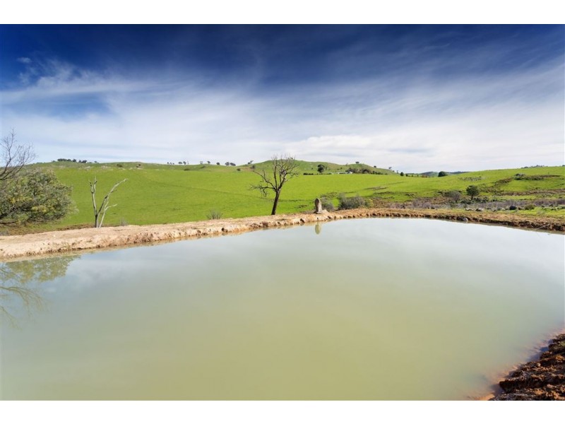 196 Phillips Road, Leneva VIC 3691