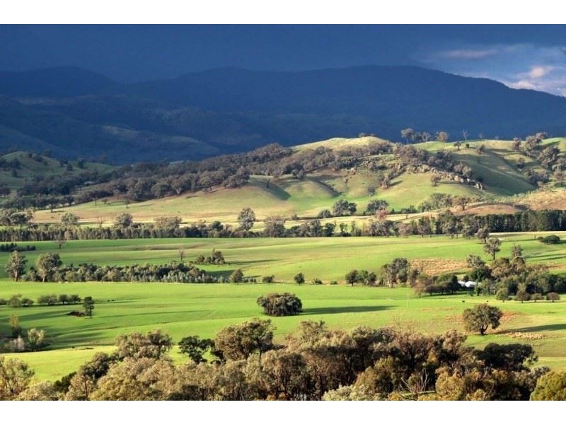 290 Talgarno Gap Road, Bethanga VIC 3691