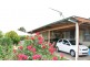 251 Swan Street, Albury NSW 2640