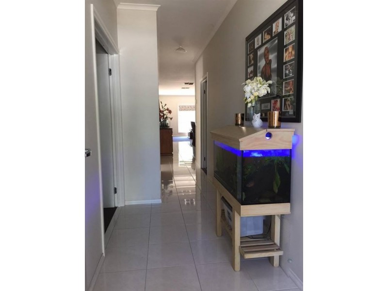 16 Castleton Street, Wodonga VIC 3690