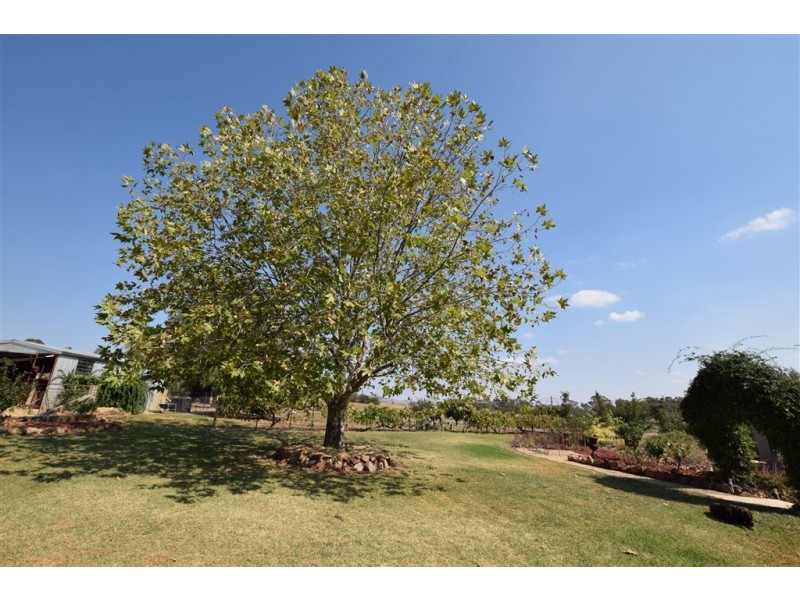 200 Hawthorn Road, Jindera NSW 2642