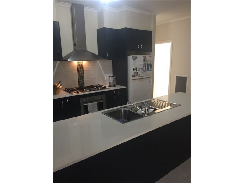 16 Castleton Street, Wodonga VIC 3690