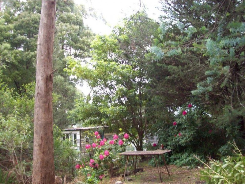 . Dial Road, Penguin TAS 7316