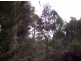 . Dial Road, Penguin TAS 7316
