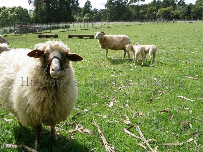 00 00, Somerset TAS 7322