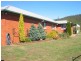 834 Ironcliffe Road, Penguin TAS 7316