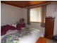 834 Ironcliffe Road, Penguin TAS 7316