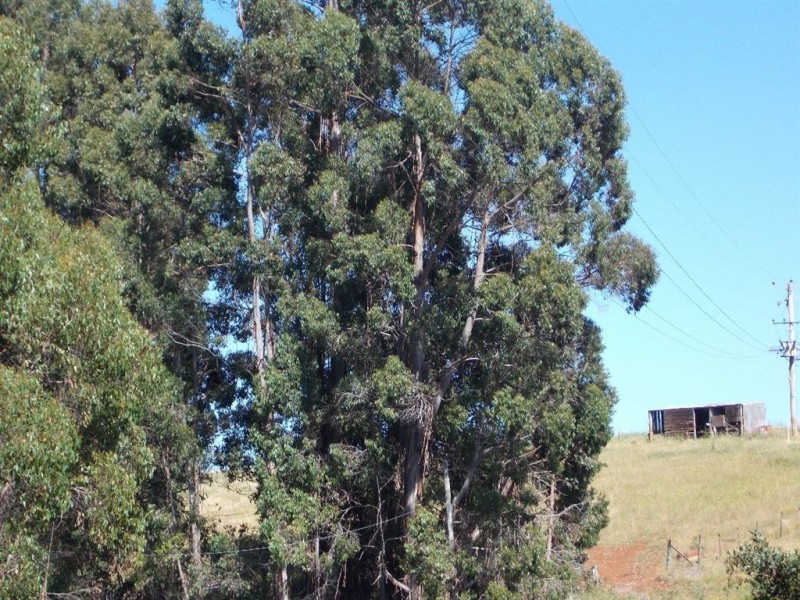 Lot 4 Hardys Road, Penguin TAS 7316
