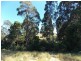 Lot 4 Hardys Road, Penguin TAS 7316