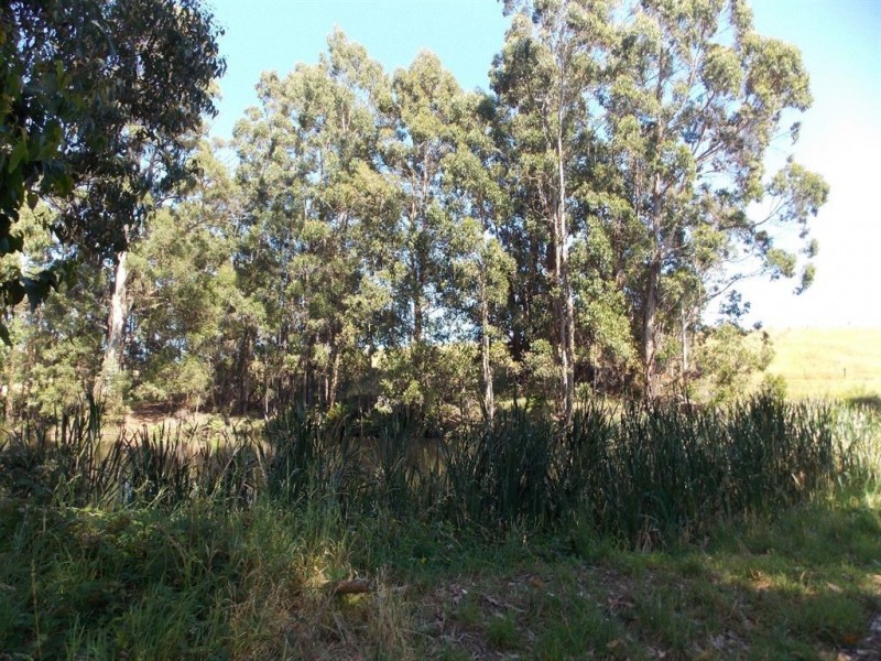 Lot 4 Hardys Road, Penguin TAS 7316