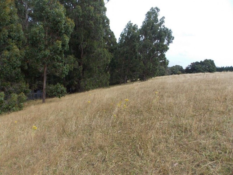 Lot 4 Hardys Road, Penguin TAS 7316