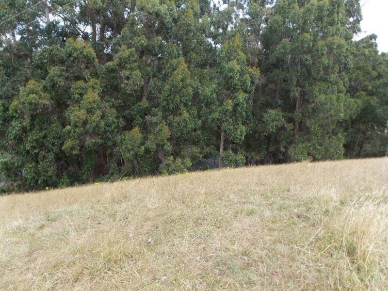 Lot 4 Hardys Road, Penguin TAS 7316
