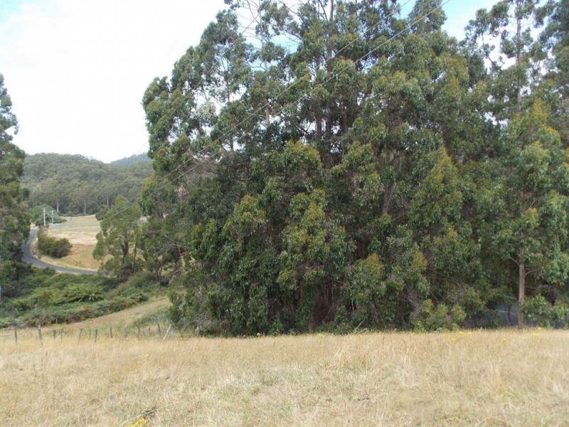 Lot 4 Hardys Road, Penguin TAS 7316