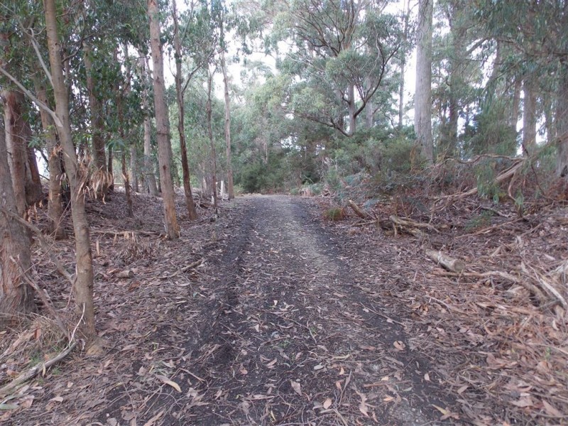 00 Minna Road, Stowport TAS 7321