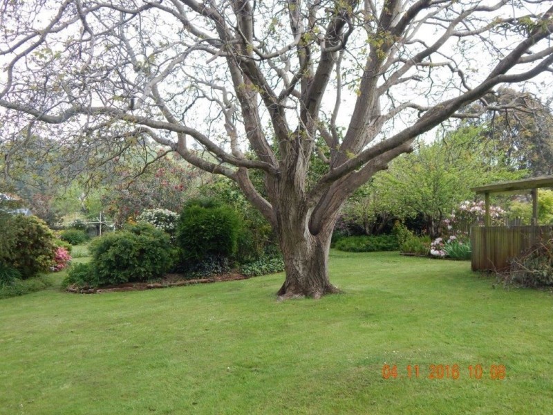 6 Southwood Avenue, Penguin TAS 7316