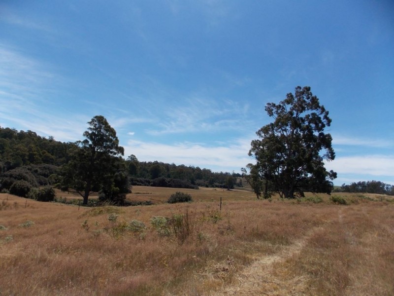 64 Lot 1 Loyetea Road, South Riana TAS 7316