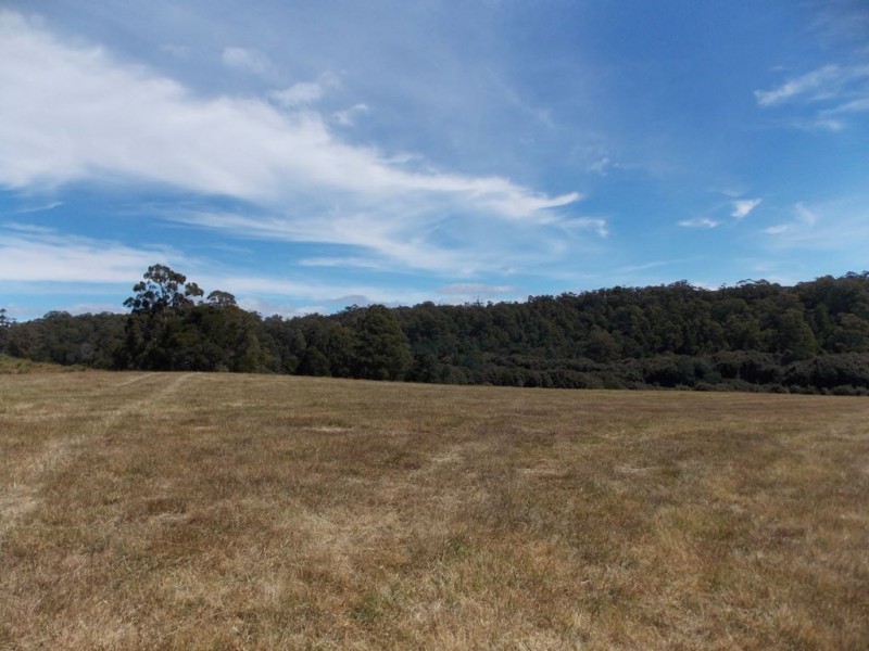 64 Lot 1 Loyetea Road, South Riana TAS 7316