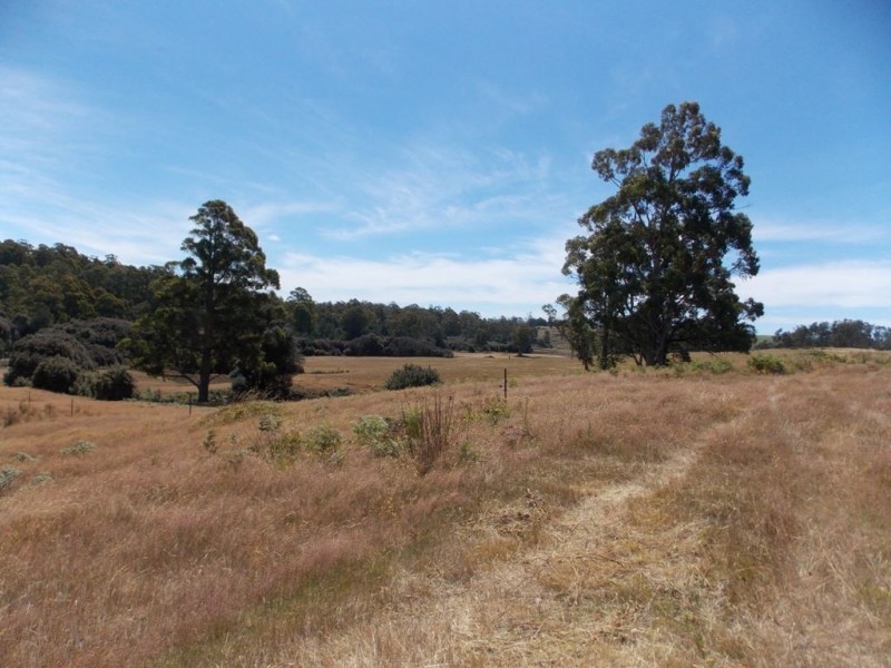 64  Lot 2 Loyetea Road, South Riana TAS 7316