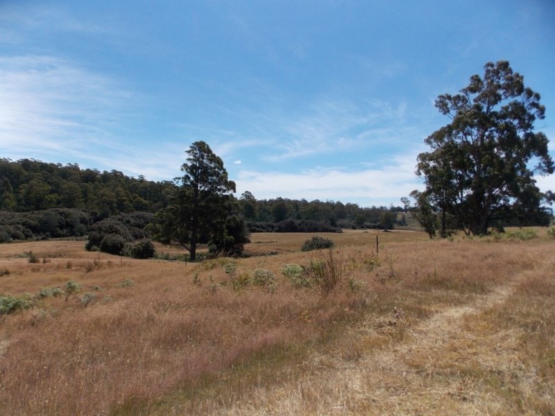 64  Lot 2 Loyetea Road, South Riana TAS 7316