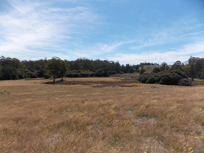 64  Lot 2 Loyetea Road, South Riana TAS 7316