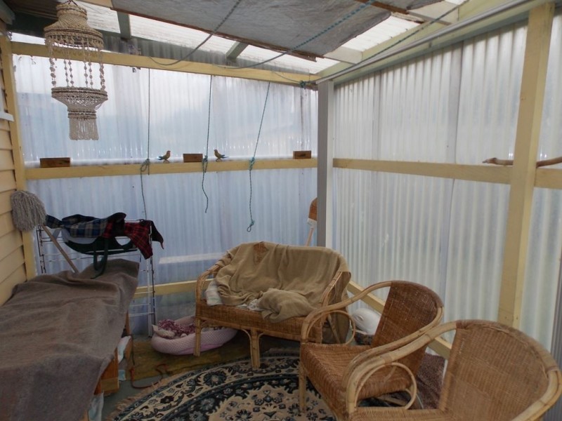 34 Coroneagh Street, Penguin TAS 7316