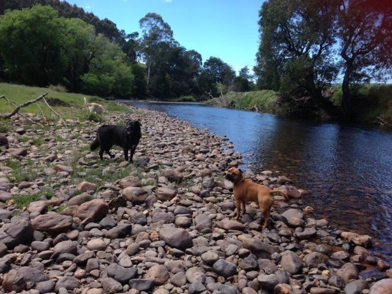 Lot 1 Lowana Road, Gunns Plains TAS 7315