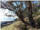 Lot 6 Midway Lane, Sulphur Creek TAS 7316
