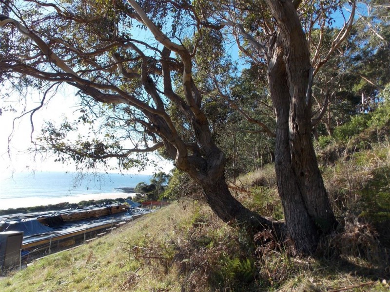 Lot 6 Midway Lane, Sulphur Creek TAS 7316