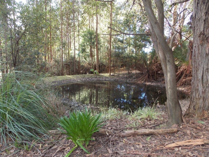 20 Sylvan Rise, Penguin TAS 7316