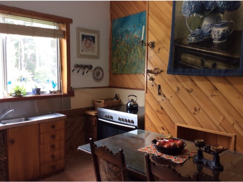 7 Walton Street, Penguin TAS 7316