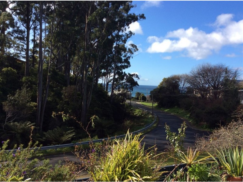 7 Walton Street, Penguin TAS 7316