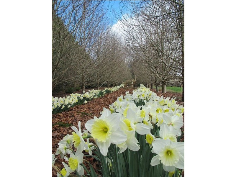 1135 Pine Road, Riana TAS 7316