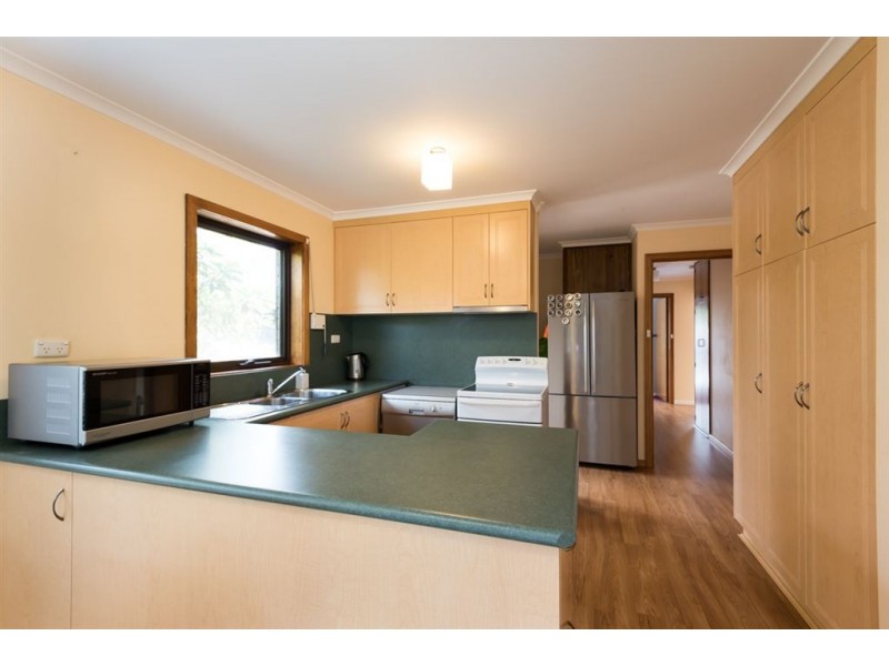 5 Evelyn Street, Penguin TAS 7316