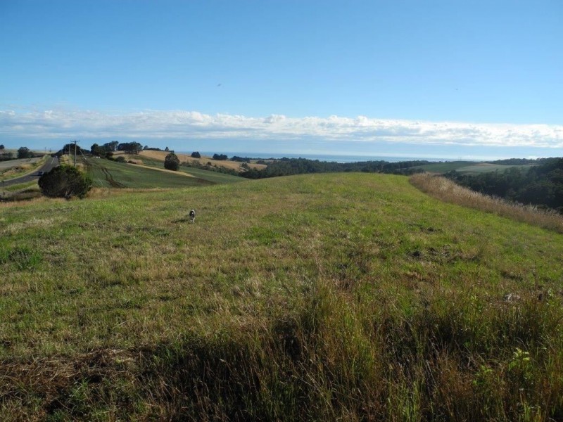 459 Pine Road, Penguin TAS 7316