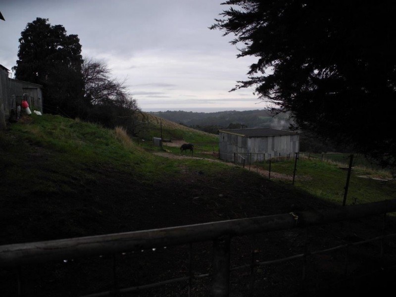 459 Pine Road, Penguin TAS 7316