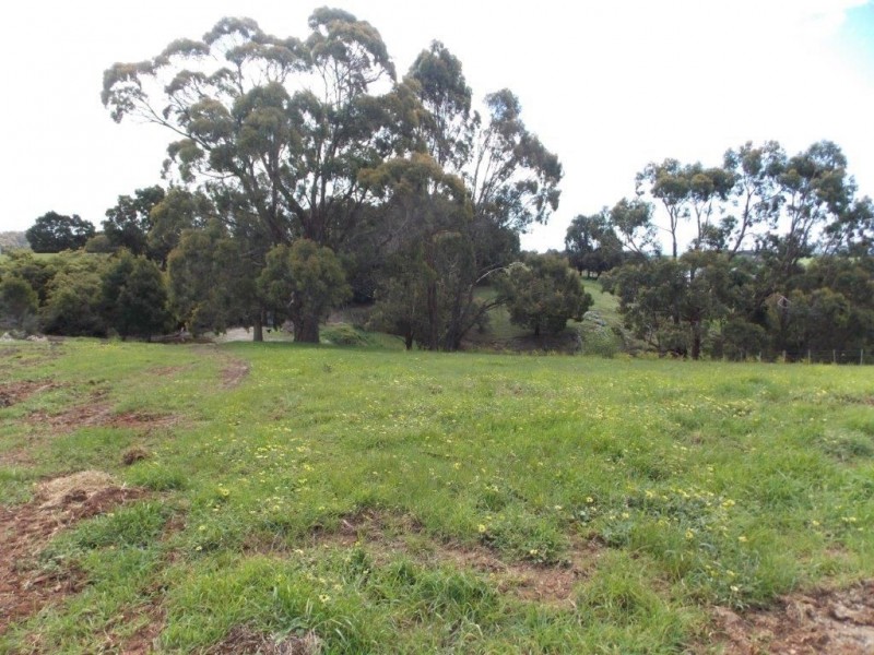 69 White Hills Road, Penguin TAS 7316