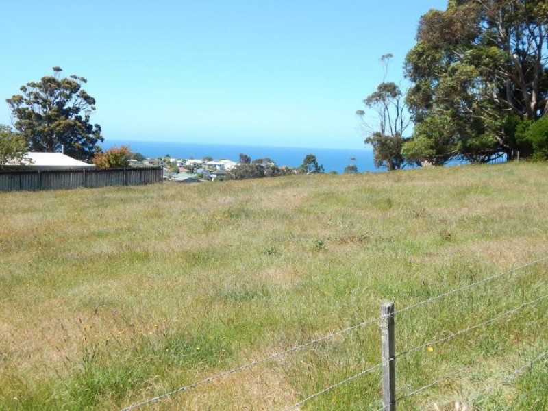 27 Pineleigh Street, Penguin TAS 7316