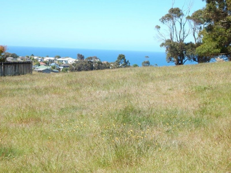 27 Pineleigh Street, Penguin TAS 7316