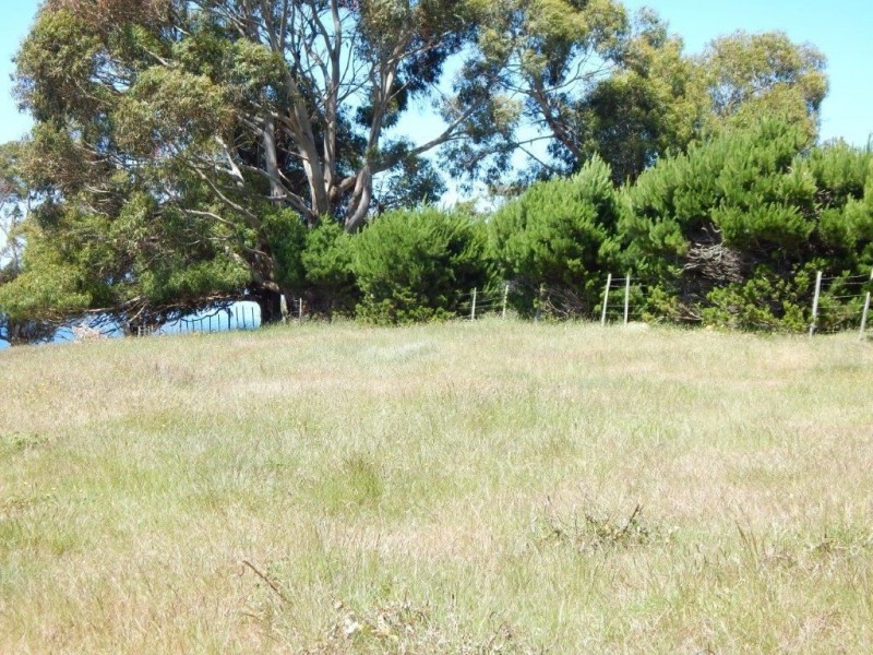 27 Pineleigh Street, Penguin TAS 7316