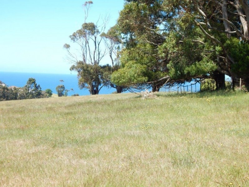 27 Pineleigh Street, Penguin TAS 7316