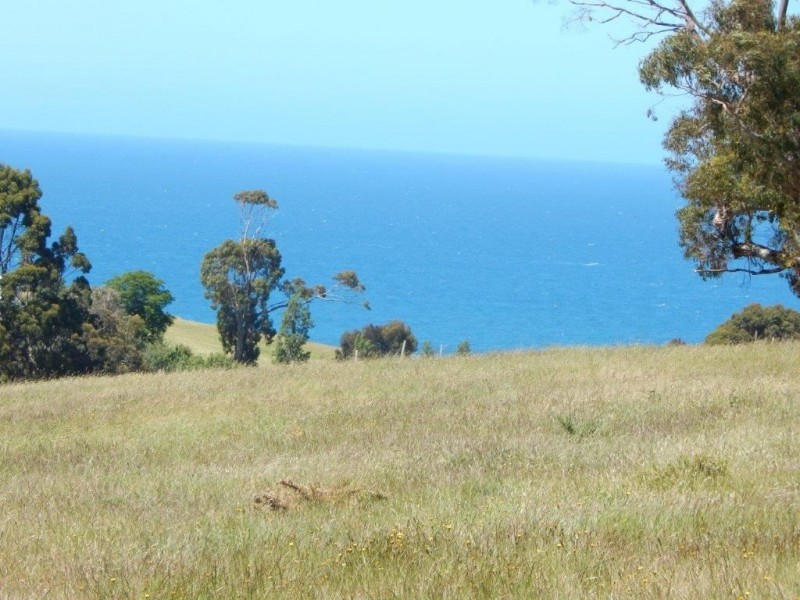 27 Pineleigh Street, Penguin TAS 7316