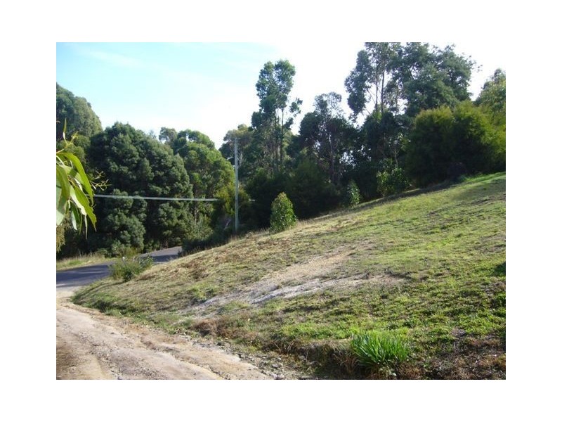 61 Deviation Road, Penguin TAS 7316
