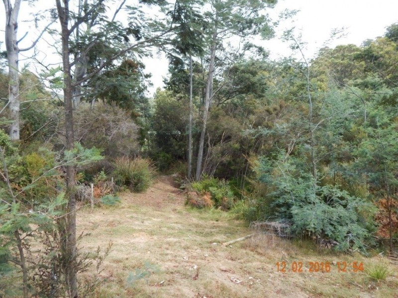 82 Dial Road, Penguin TAS 7316