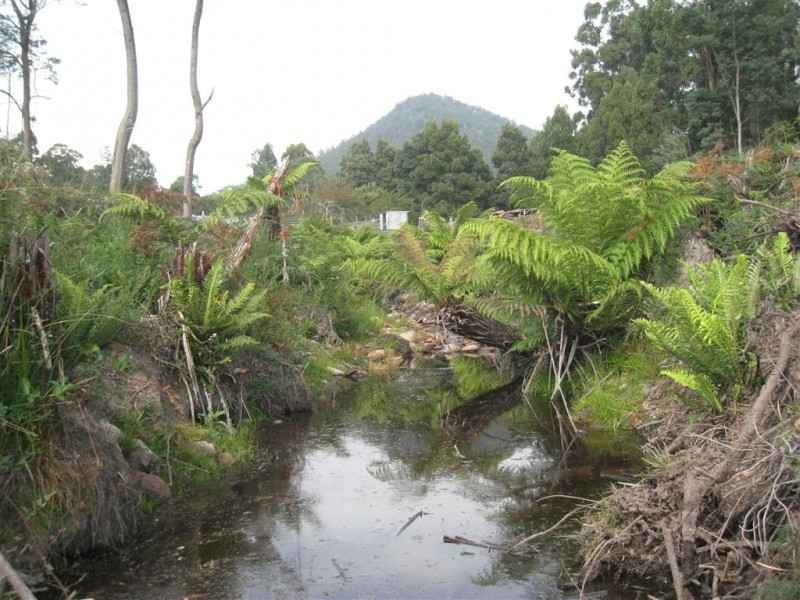 82 Dial Road, Penguin TAS 7316