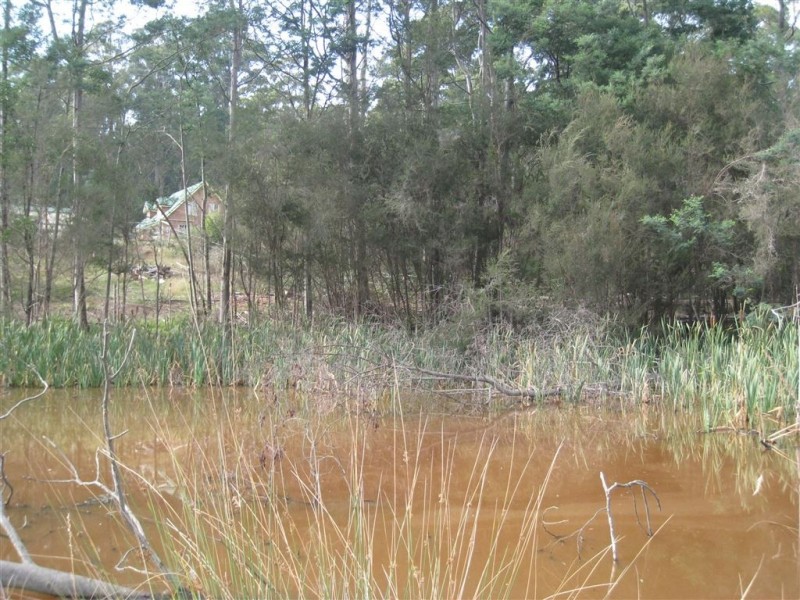 82 Dial Road, Penguin TAS 7316