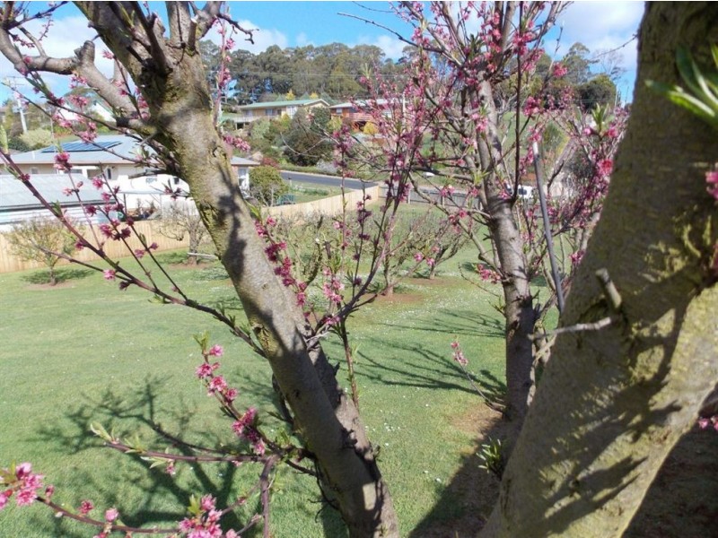 23 South Road, Penguin TAS 7316