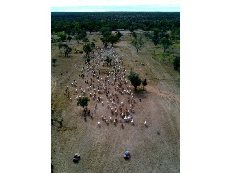 . Natal Downs Aggregation, Charters Towers QLD 4820 Landmark