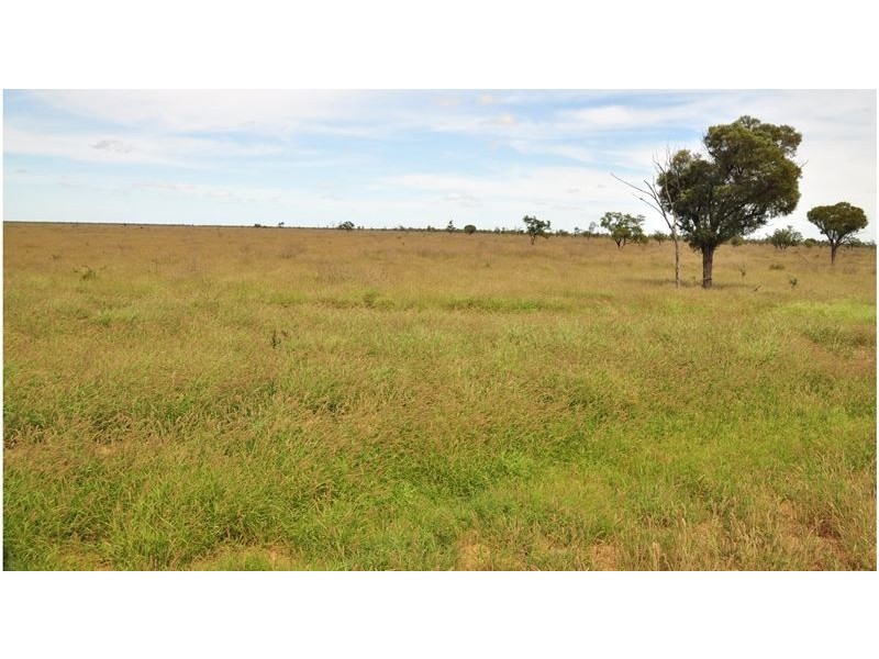 . Natal  Downs Aggregation, Charters Towers QLD 4820