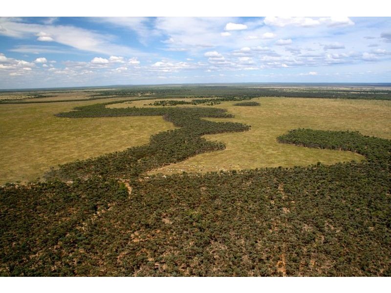 . Natal  Downs Aggregation, Charters Towers QLD 4820